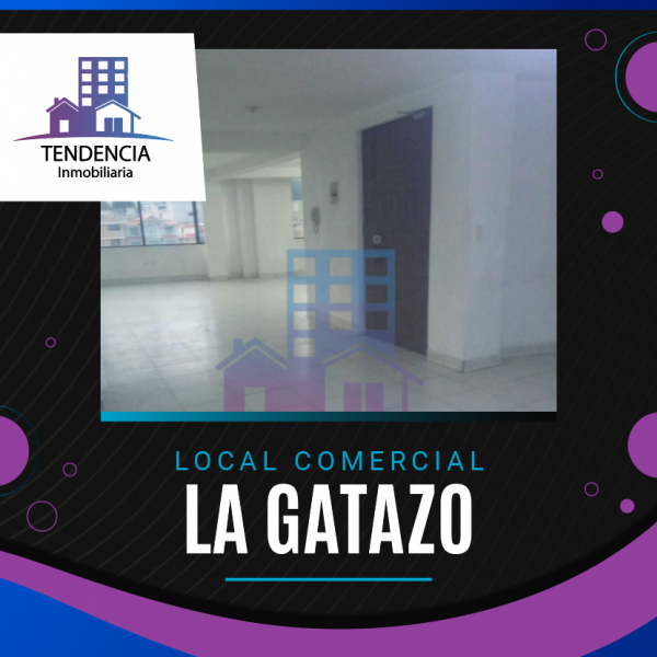 LOCAL COMERCIAL "LA GATAZO"