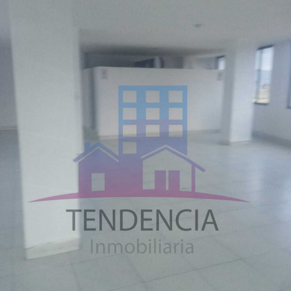 LOCAL COMERCIAL "LA GATAZO"