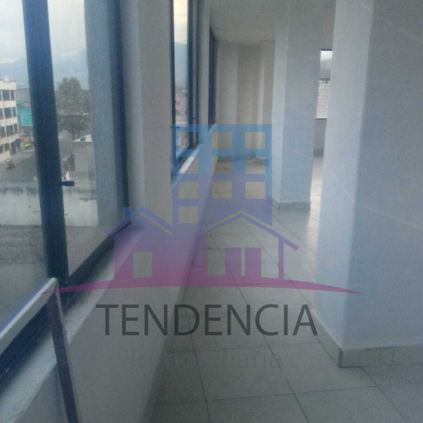 LOCAL COMERCIAL "LA GATAZO"