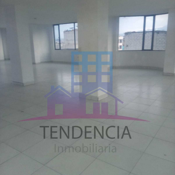 LOCAL COMERCIAL "LA GATAZO"