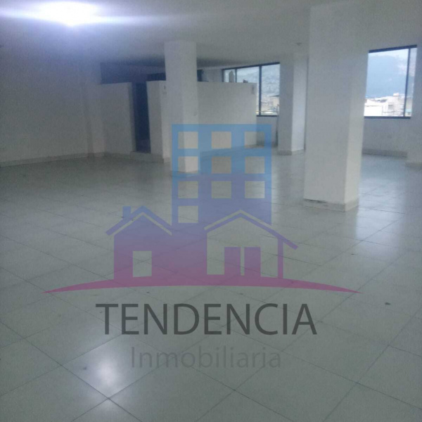 LOCAL COMERCIAL "LA GATAZO"